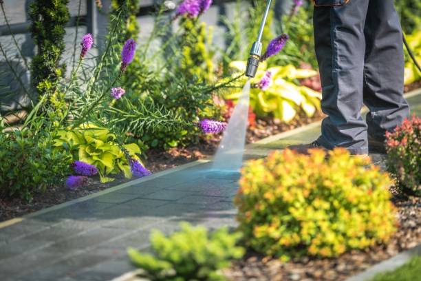 Best Concrete Surface Cleaning in Irvington, KY