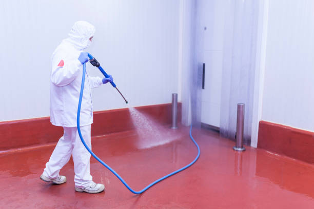 Best Gutter Cleaning and Brightening in Irvington, KY